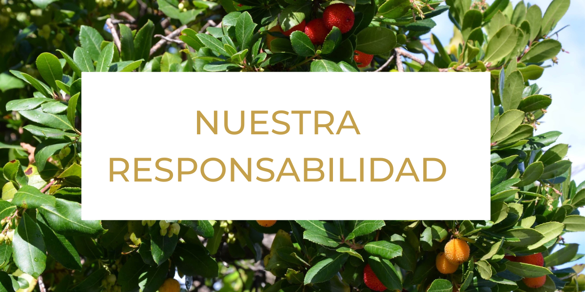 MITAD NUESTRA RESPONSABILIDAD.png