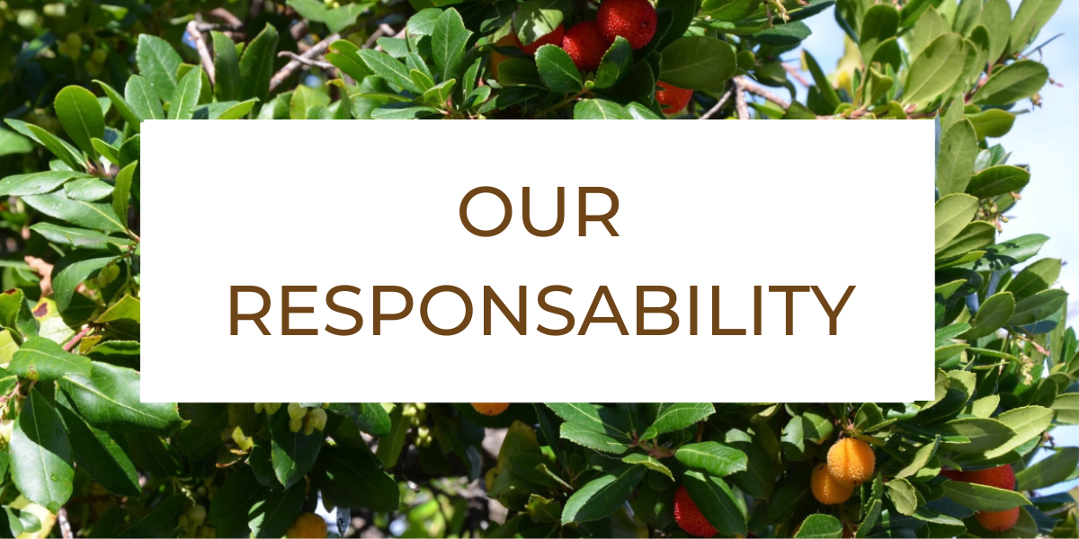 OUR RESPONSABILITY MITAD.png