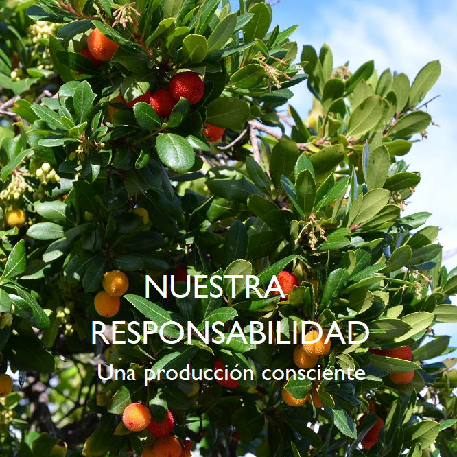 Kalamo producción responsable
