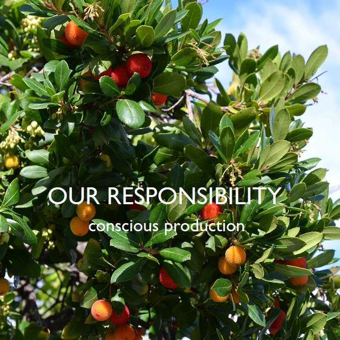 KÁLAMO responsibility